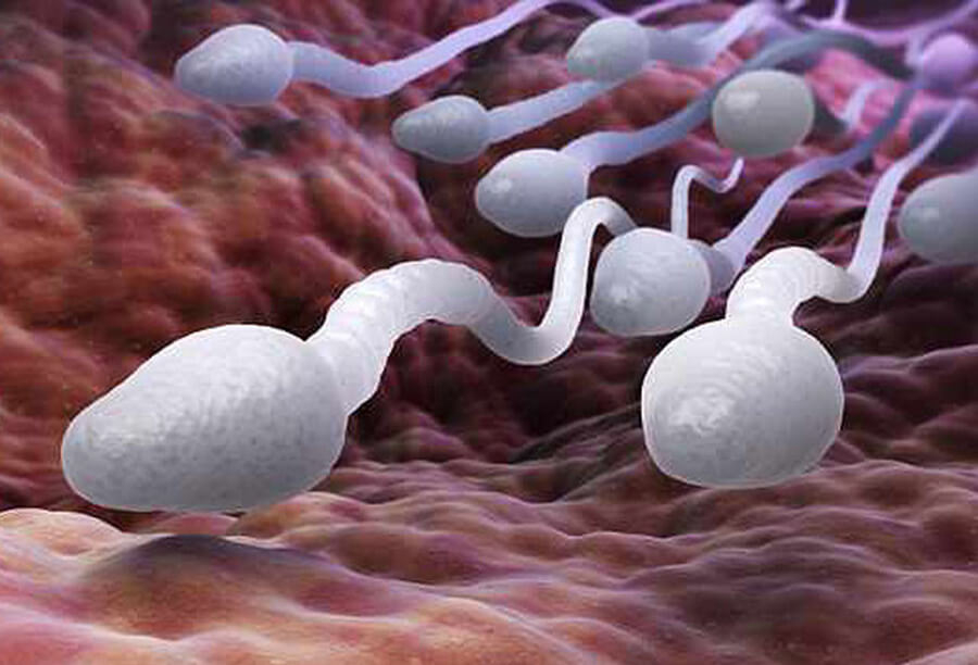 14 tác hại của việc sử dụng điện thoại quá nhiều - Hình 3 14 tác hại của việc sử dụng điện thoại quá nhiều - Hình 3