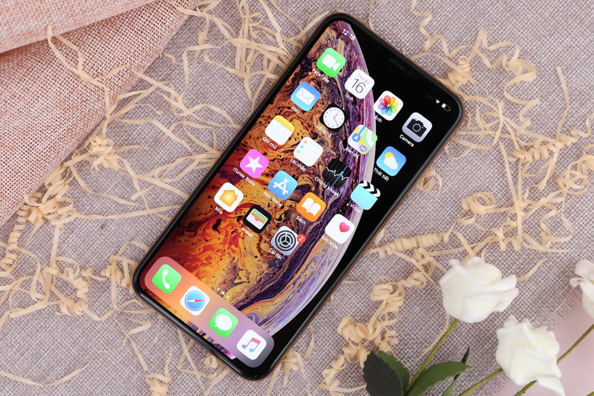iPhone Xs Max cũ