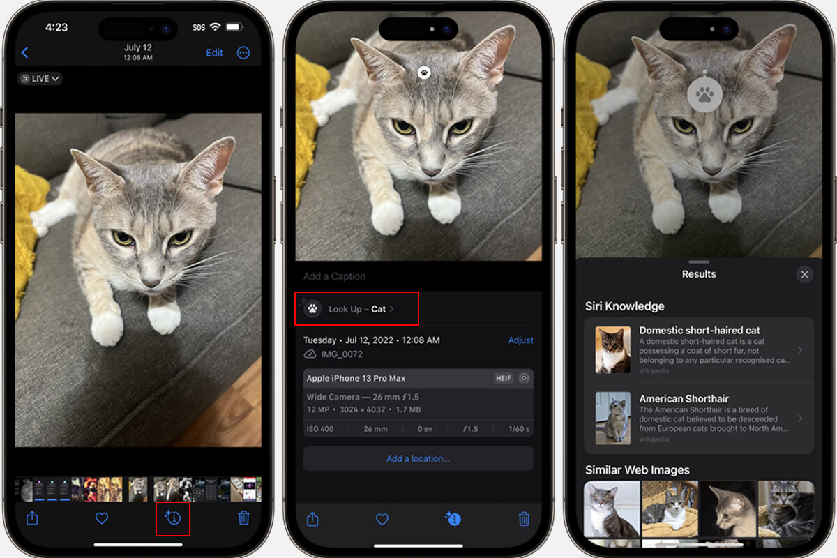 Tính năng iPhone - Hình 4
