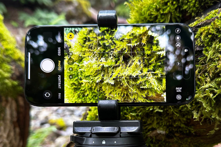 5 cài đặt camera iPhone bạn nên tắt ngay để ảnh đẹp và thật hơn