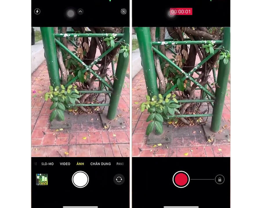 5 tính năng camera cực hay trên iOS 14 bạn nên biết - Hình 3
