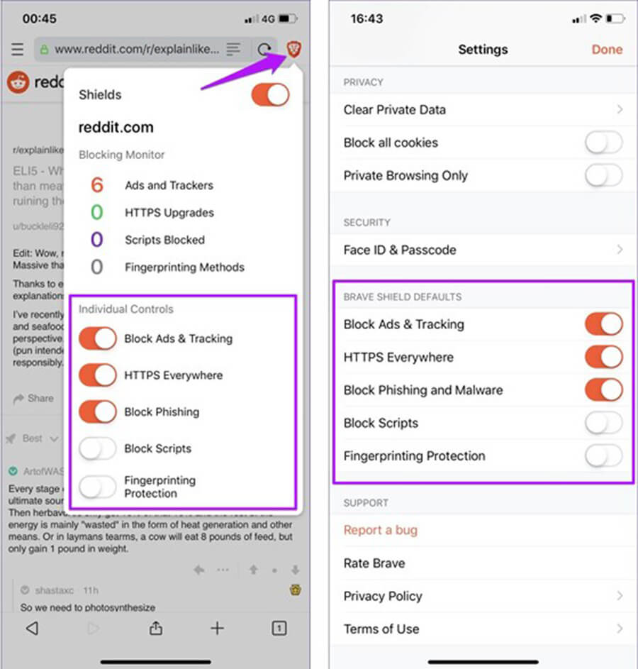 5 trình duyệt chặn quảng cáo độc hại tốt nhất trên iPhone - Hình 5