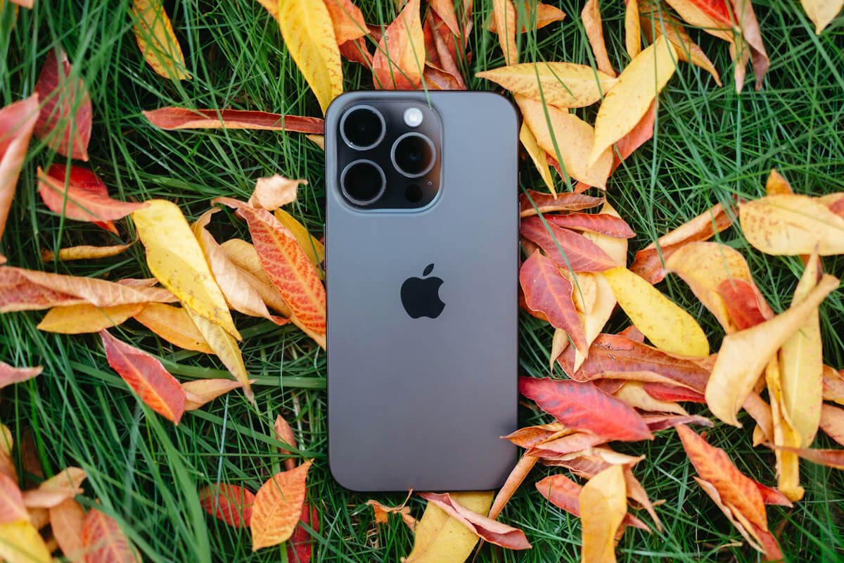 6 bước kiểm tra iPhone cũ đơn giản và hiệu quả nhất 2024 - Hình 1 Kiểm tra iPhone cũ - Hình 1