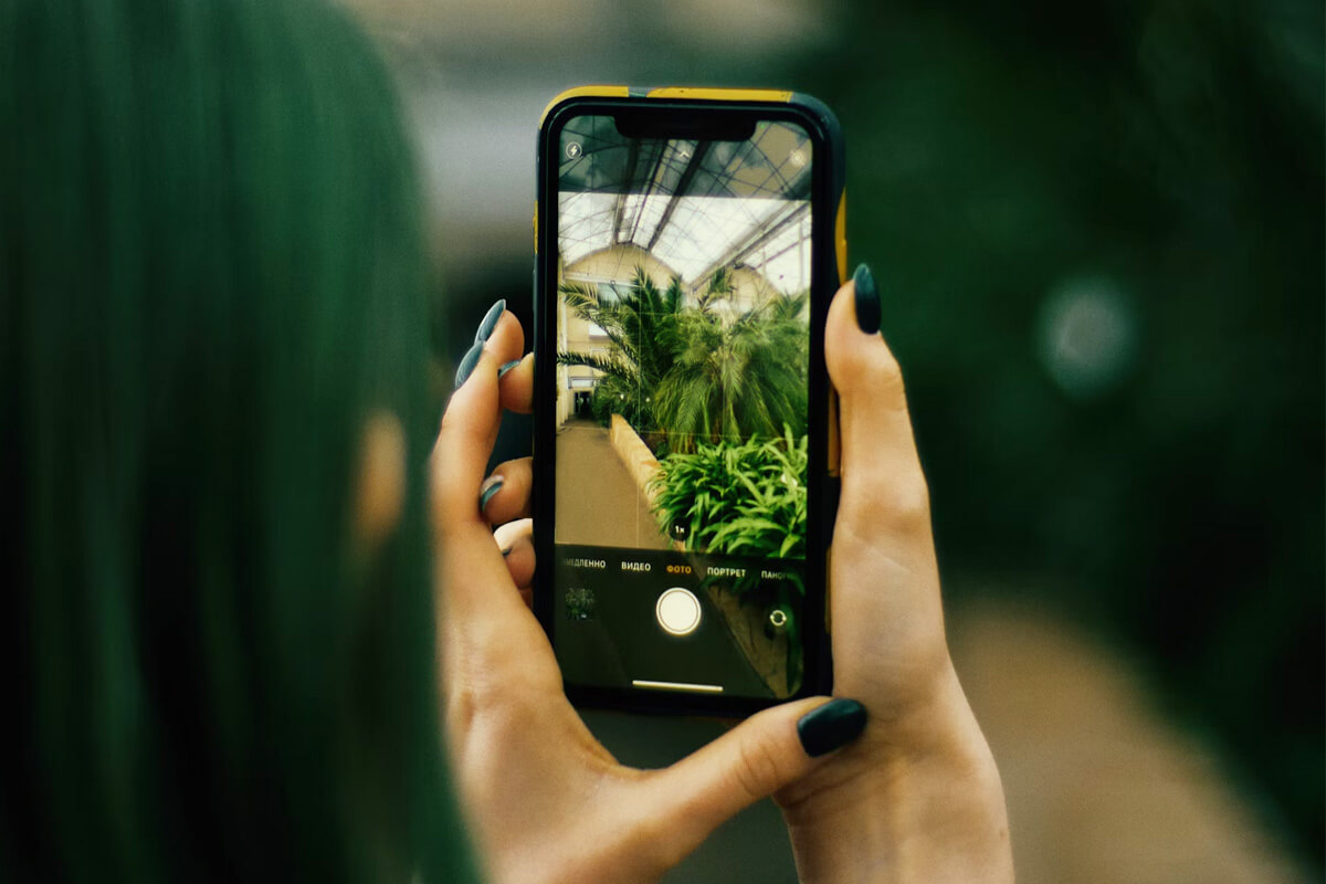 6 bước kiểm tra iPhone cũ đơn giản và hiệu quả nhất 2024 - Hình 2 Kiểm tra iPhone cũ - Hình 2