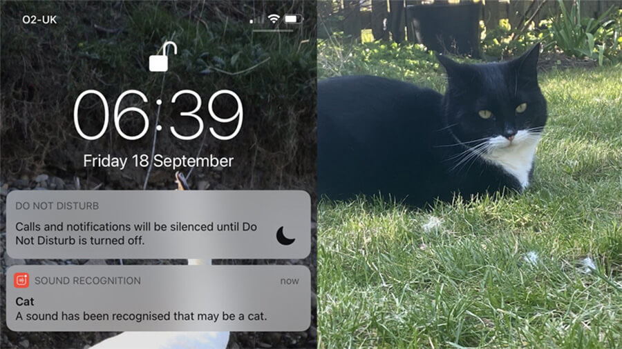 6 tính năng trên iPhone nếu tắt sẽ giúp pin trâu hơn rất nhiều - Hình 9