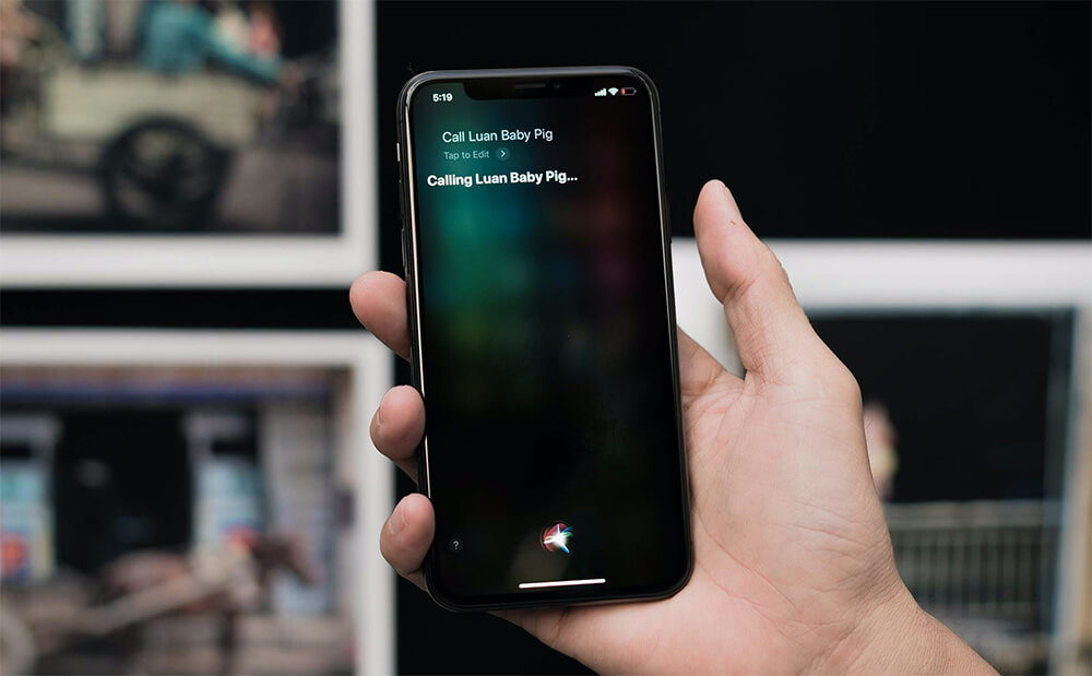 Apple dự kiến sẽ đưa giao diện Siri lên phần Dynamic Island Apple dự kiến sẽ đưa giao diện Siri lên phần Dynamic Island