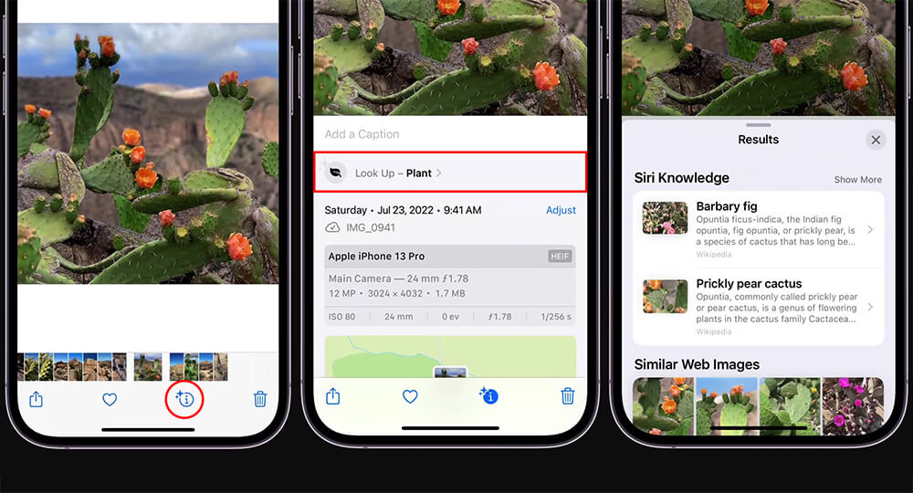 Apple vừa giới thiệu tính năng tra cứu thông minh Visual Look Up - Hình 1