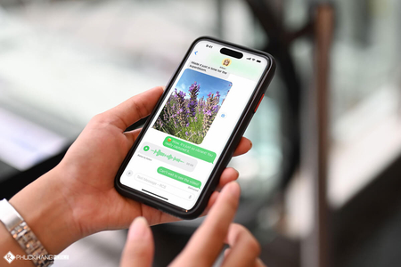 RCS trên iPhone là gì? Cách bật tin nhắn RCS để chat miễn phí với Android