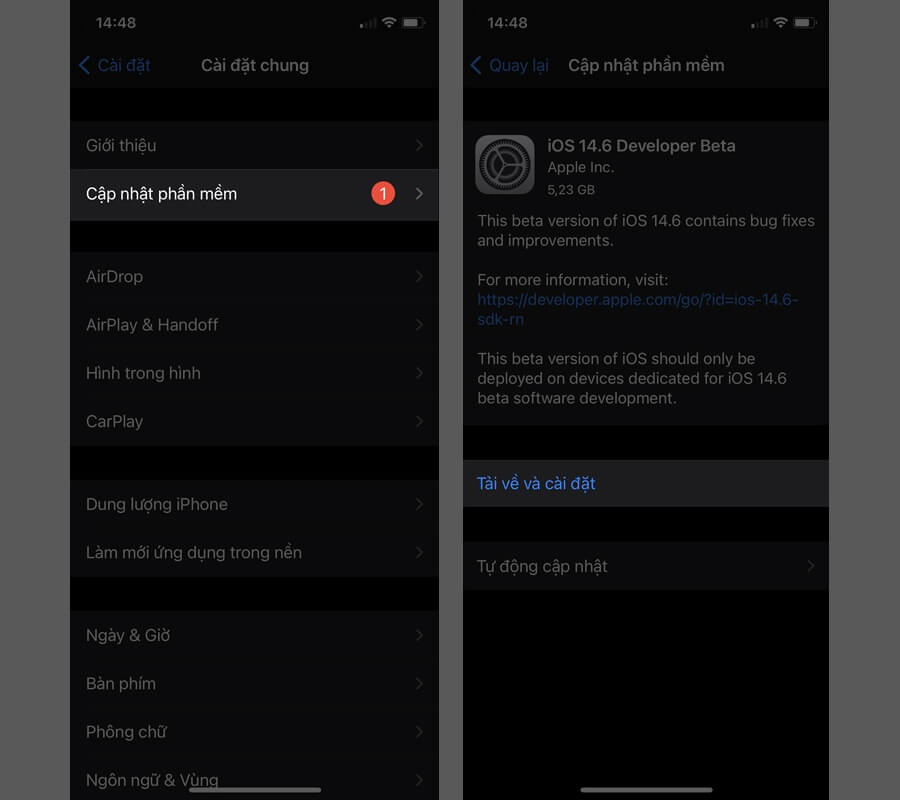 Cách cập nhật iOS 14.6 Beta 1 để trải nghiệm tính năng mới khá hay ho - Hình 5 Cách cập nhật iOS 14.6 Beta 1 để trải nghiệm tính năng mới khá hay ho - Hình 5