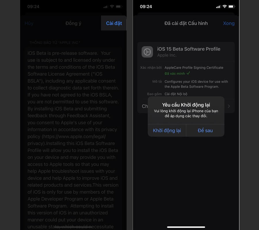 Cách cập nhật iOS 15 Beta 8 trên iPhone, cho bạn trải nghiệm trình duyệt mới mượt mà hơn - Hình 6