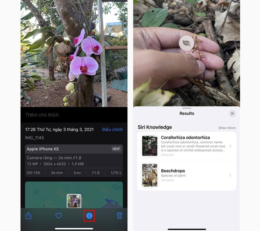 Cách cập nhật iOS 15 chính thức để trải nghiệm những tính năng mới xịn sò - Hình 8 Cách cập nhật iOS 15 chính thức để trải nghiệm những tính năng mới xịn sò - Hình 8