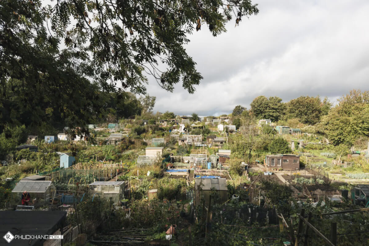 chụp ảnh đẹp bằng iPhone