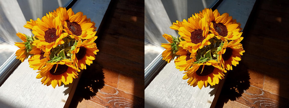 Cách chụp ảnh đẹp trên Oppo F11 Pro nhờ 6 tính năng nổi bật - Hình 6 Cách chụp ảnh đẹp trên Oppo F11 Pro nhờ 6 tính năng nổi bật - Hình 6