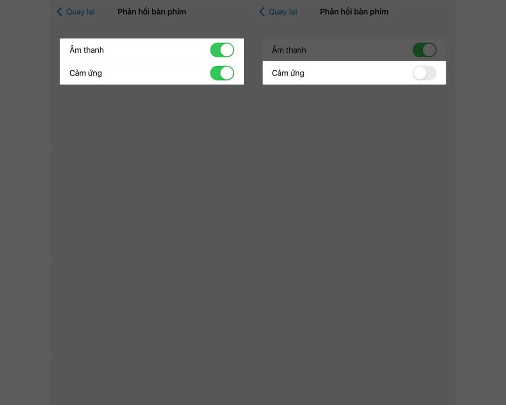 Cách tắt phản hồi xúc giác trên iPhone 14 series chỉ với vài bước đơn giản - Hình 2 Cách tắt phản hồi xúc giác trên iPhone 14 series chỉ với vài bước đơn giản - Hình 2