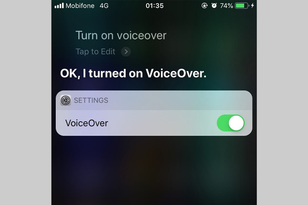 Cách tắt tính năng Voice Over trên iPhone, chắn chắn bạn sẽ cần đến đấy - Hình 3 Cách tắt Voice Over trên iPhone - Hình 3