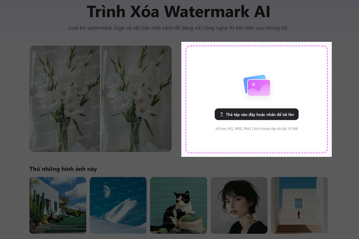 Cách xóa watermark bằng AI - Hình 2
