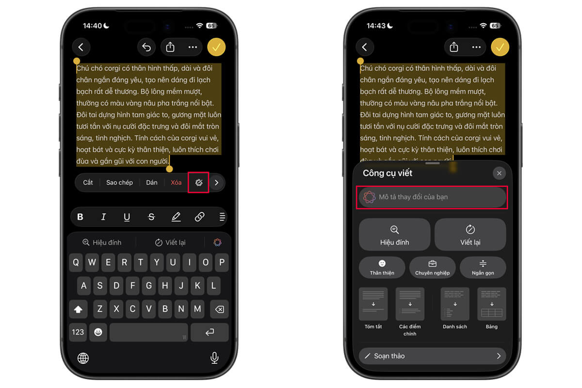 Writing Tools iPhone