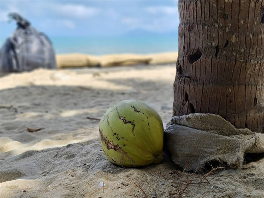 Đánh giá chi tiết Samsung Galaxy S20 Ultra: Zoom 100x, màn hình 120 Hz - Hình 17