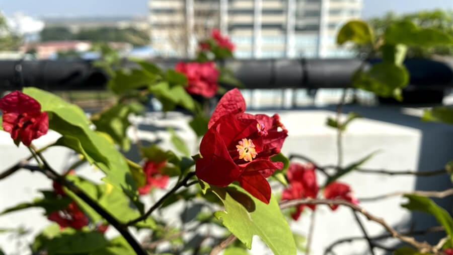 Đánh giá iPhone 11 sau hơn 1 năm ra mắt: Vẫn là lựa chọn hàng đầu trong thời điểm hiện tại - Hình 9 Đánh giá iPhone 11 sau hơn 1 năm ra mắt: Vẫn là lựa chọn hàng đầu trong thời điểm hiện tại - Hình 9