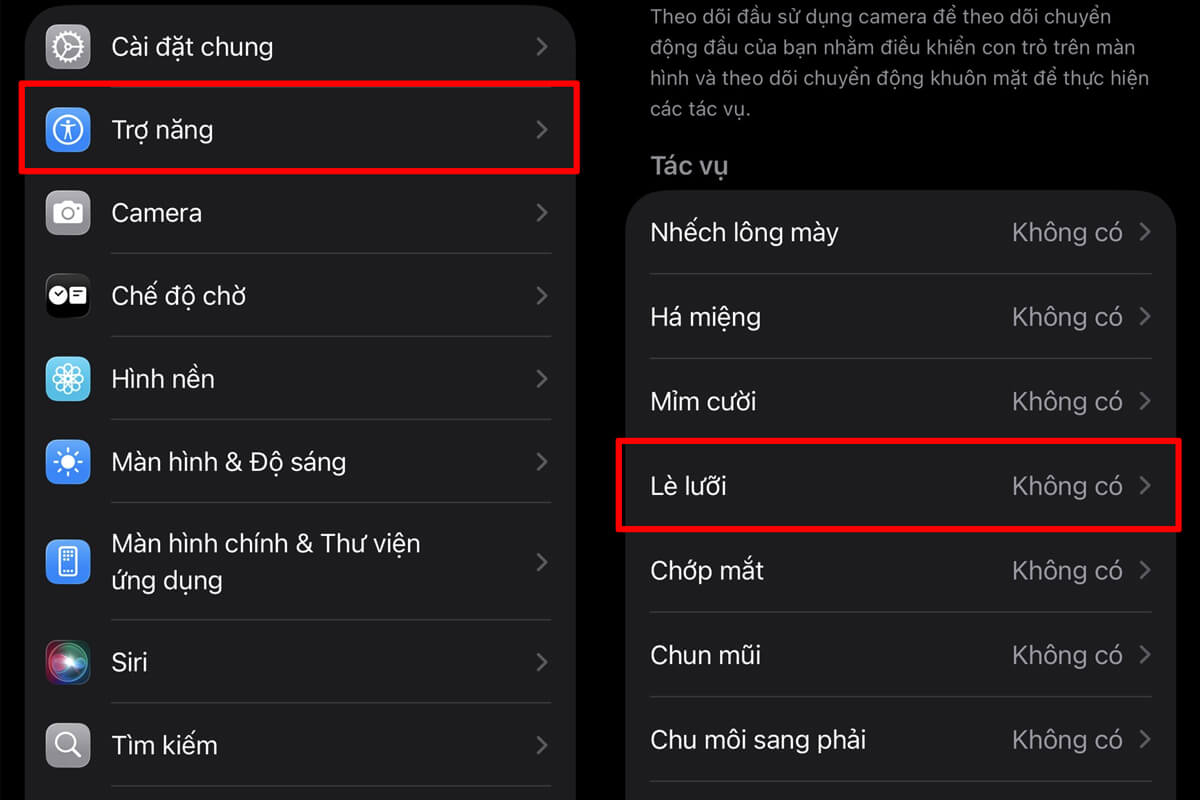 Cách điều khiển iPhone bằng đầu - Hình 1
