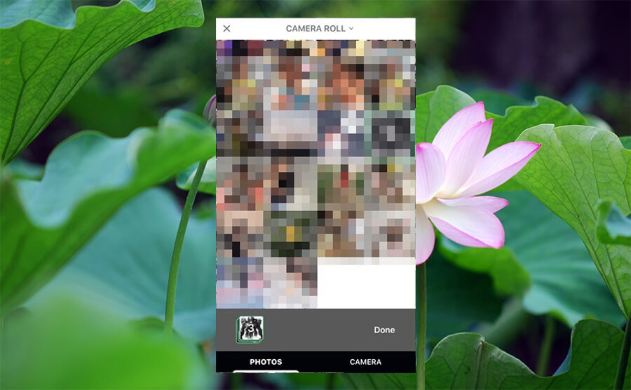 Hướng dẫn ẩn hàng loạt ảnh riêng tư trên iPhone với Safe Pixel - Hình 9