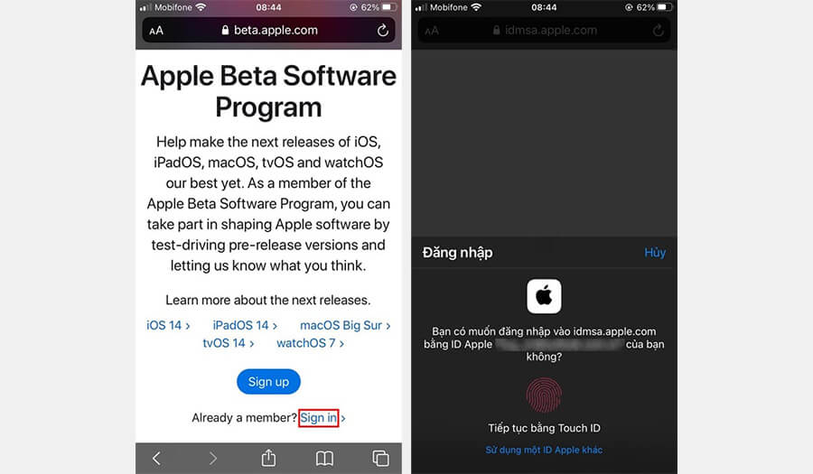 Hướng dẫn cập nhật iOS 14.3 Beta 2 không cần Profile Developer - Hình 4