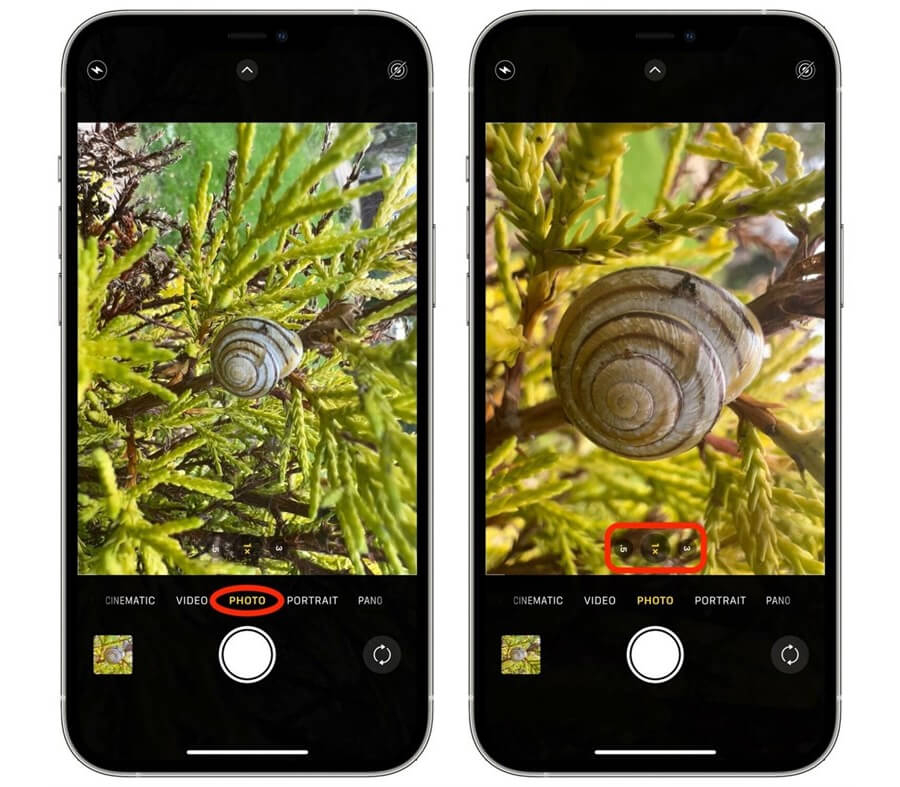 Hướng dẫn chụp ảnh và quay video cận cảnh trên iPhone 13 Pro và 13 Pro Max - Hình 2