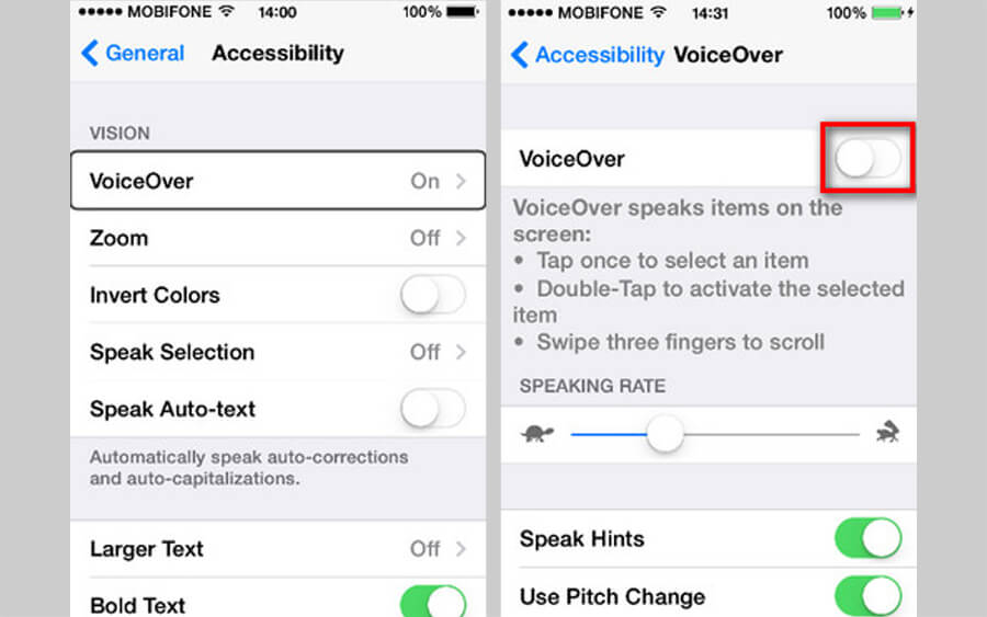 Hướng dẫn tắt VoiceOver trên iPhone - Hình 5