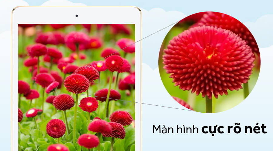 iPad 2017 cũ - Màn hình iPad 2017 cũ - Màn hình