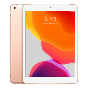 iPad Gen 7 10.2 inch 2019 32GB WiFi + 4G - Cũ 99%