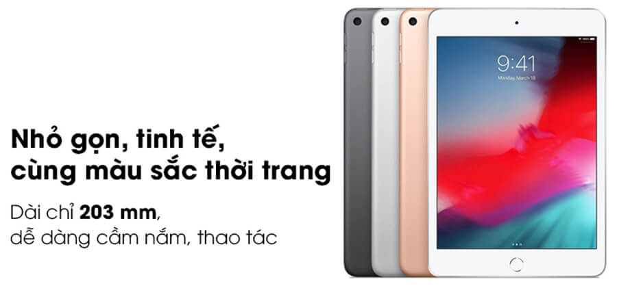 iPad Mini 5 2019 (7.9 inch) - Hình 1