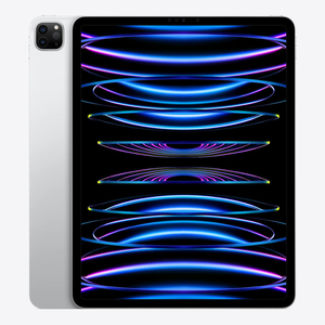 iPad Pro 11-inch WIFI 2022 M2|256GB (Mới 100%)