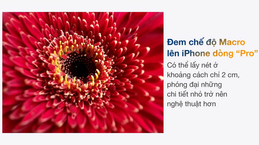 iPhone 13 Pro 512GB quốc tế - Hình 7