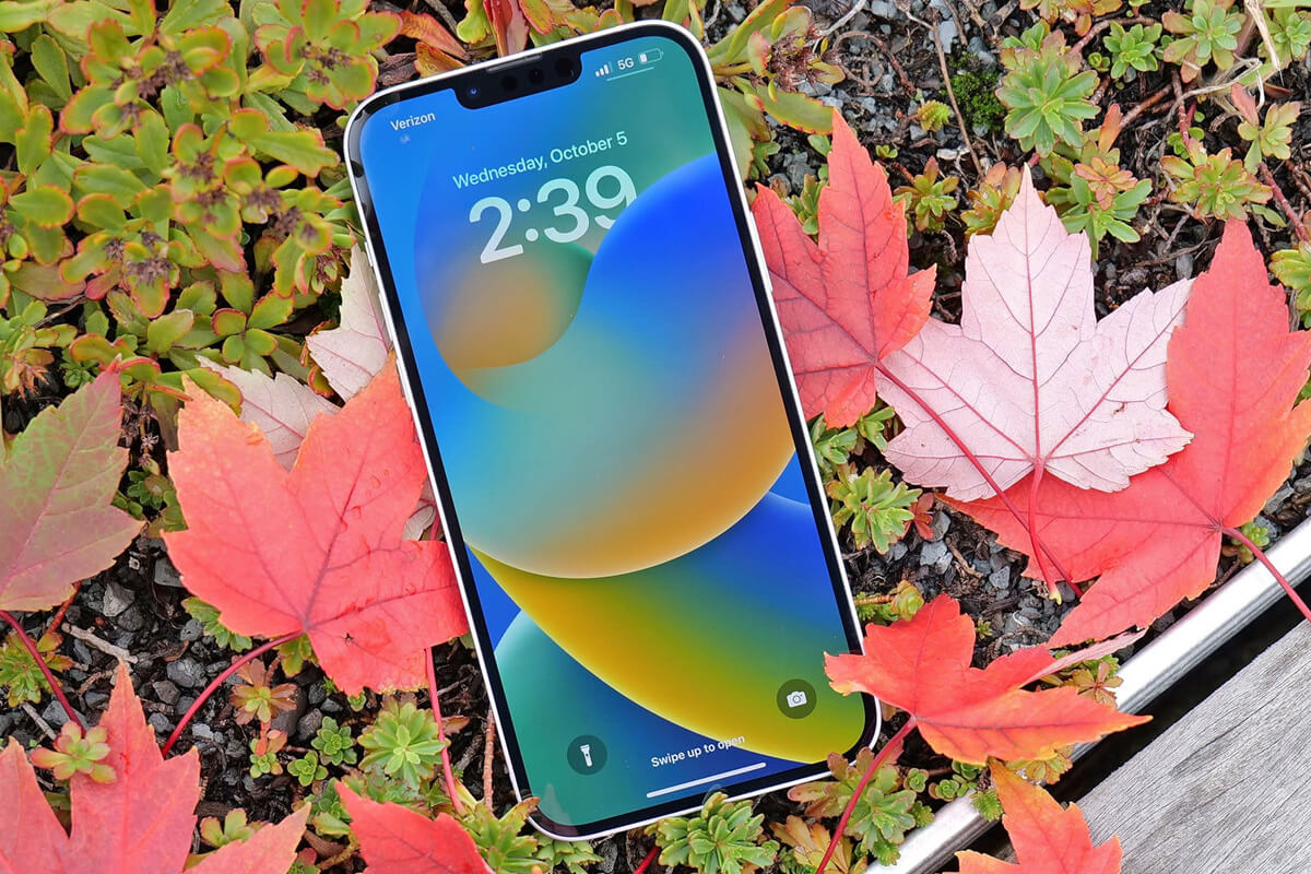 iPhone 14 Plus cũ