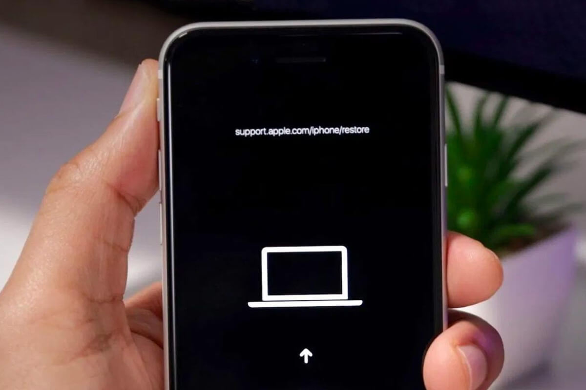 iPhone bị treo táo - Hình 3