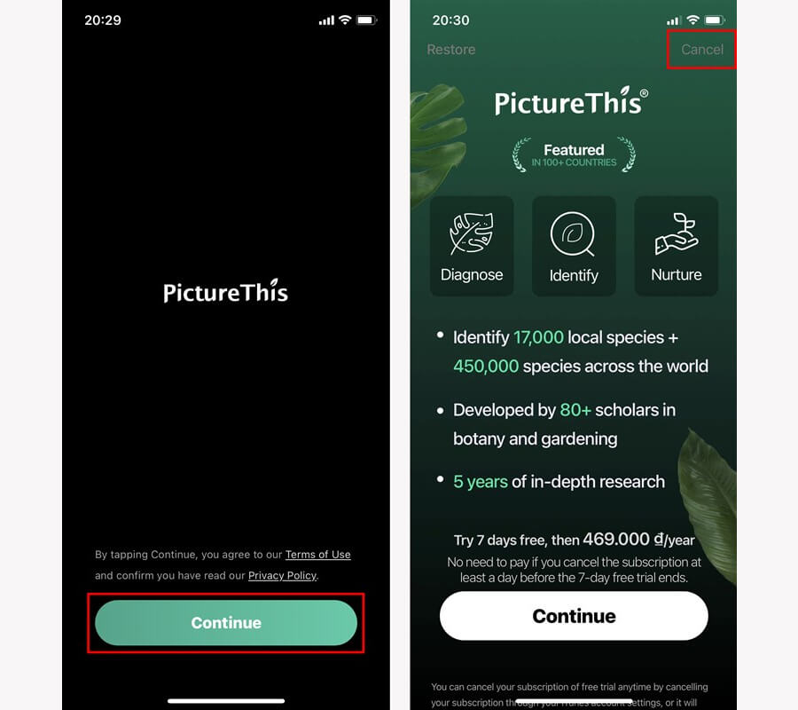Mẹo nhận biết các loài cây, loài hoa, loài chim,... chỉ bằng cách chụp ảnh - Hình 2