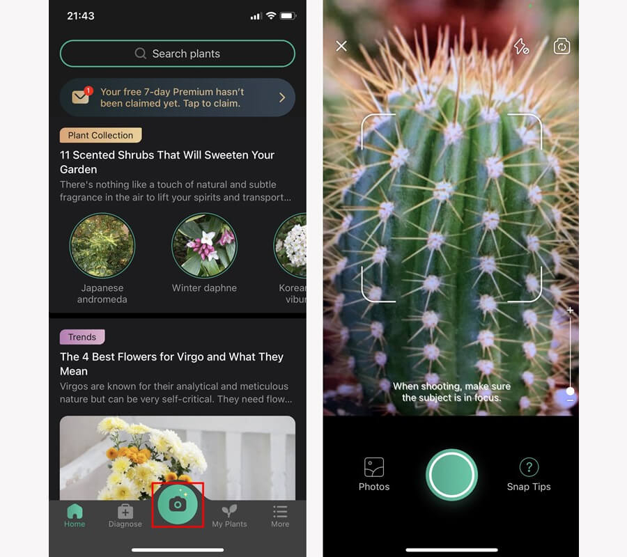 Mẹo nhận biết các loài cây, loài hoa, loài chim,... chỉ bằng cách chụp ảnh - Hình 3