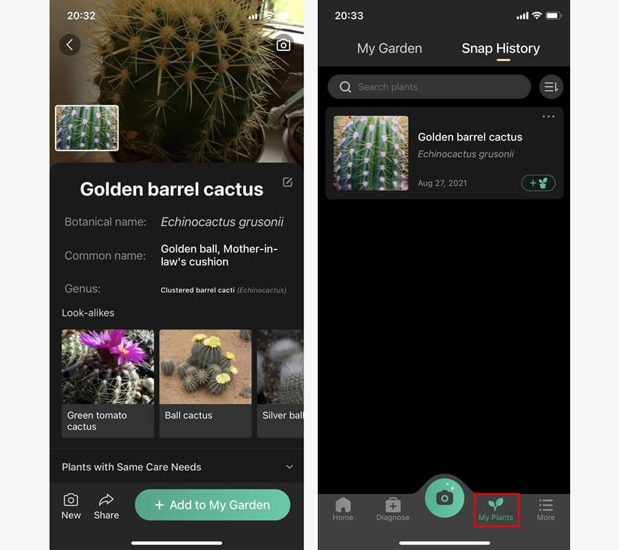 Mẹo nhận biết các loài cây, loài hoa, loài chim,... chỉ bằng cách chụp ảnh - Hình 4