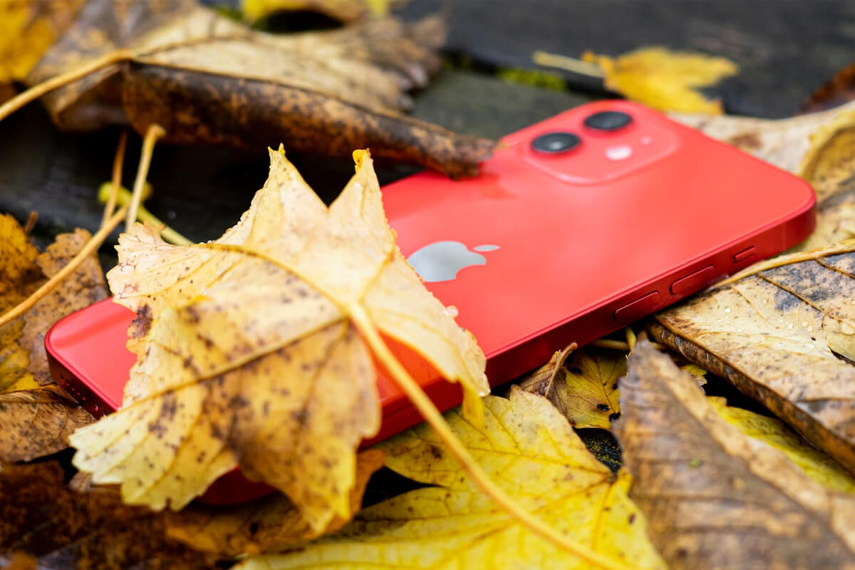 Sắm iPhone 12 cũ không lo về giá: Giảm sốc đến 47% kèm phần quà hấp dẫn Mua iPhone 12 cũ