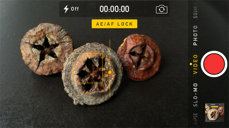 Những "tuyệt chiêu" sử dụng camera iPhone 11 series chuyên nghiệp hơn - Hình 6