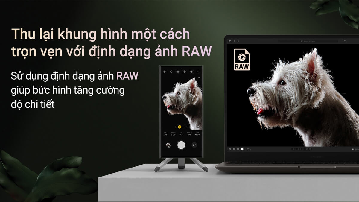 Chế độ chụp đêm trên Galaxy S23 Ultra