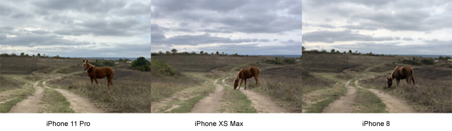 So sánh camera iPhone 11 Pro, iPhone Xs Max và iPhone 8 - máy nào chụp ảnh đẹp hơn? - Hình 1 So sánh camera iPhone 11 Pro, iPhone Xs Max và iPhone 8 - máy nào chụp ảnh đẹp hơn? - Hình 1
