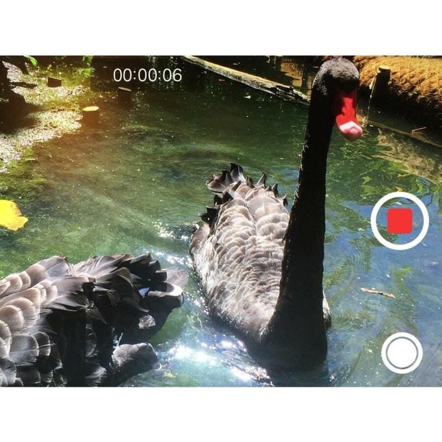 Chụp ảnh ngay cả khi bạn đang quay video Chụp ảnh ngay cả khi bạn đang quay video