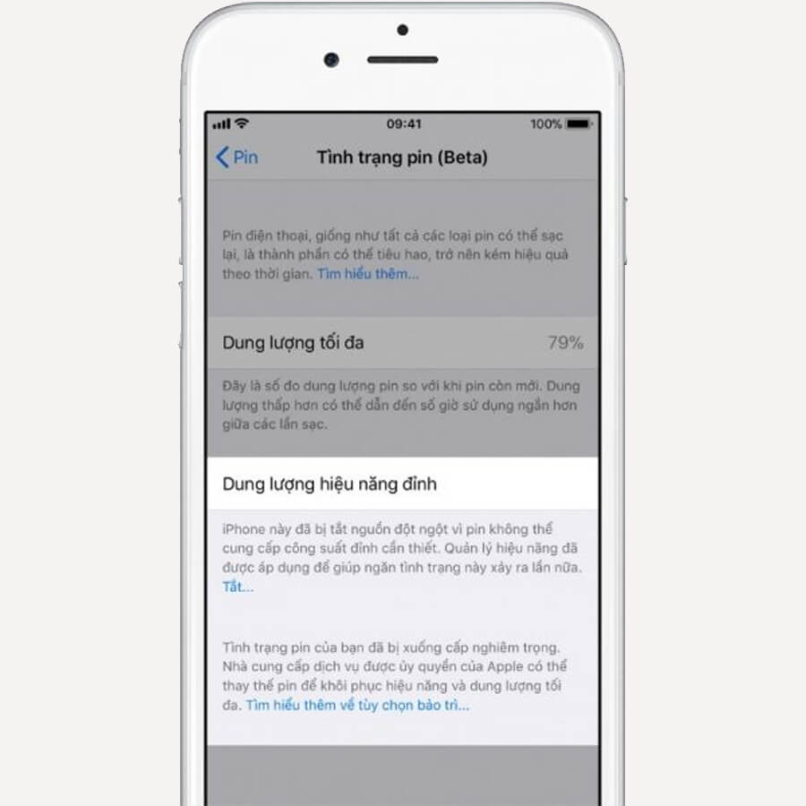 Tình trạng bảo trì pin trên iPhone là gì? Cách khắc phục thế nào? - Hình 4 Tình trạng bảo trì pin trên iPhone là gì? Cách khắc phục thế nào? - Hình 4